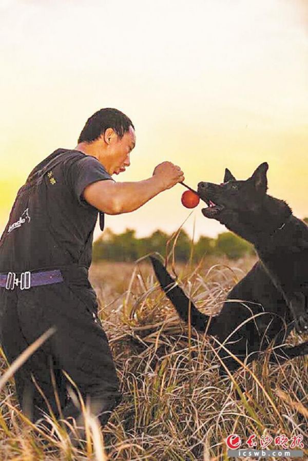 长沙爱宠易宠物培训机构已有十余家学校学规矩(图)