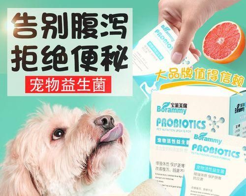 狗狗拉稀消化不好怎么办（针对宠物常见问题）