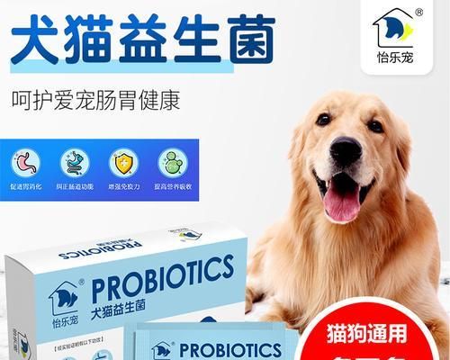 狗狗拉稀消化不好怎么办（针对宠物常见问题）