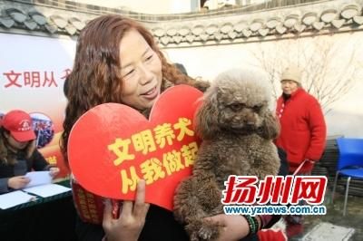 深入了解宠物心理咨询：解答养宠人关心的常见问题，助力宠物心理健康