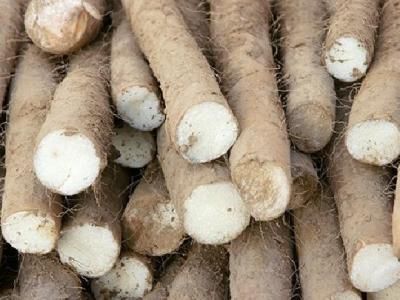 春季养生养肝吃什么好 春季养生养肝多吃三菜一粥