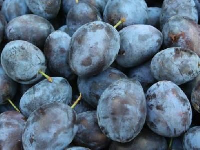 春季养生吃什么好? 春季养生小常识分享