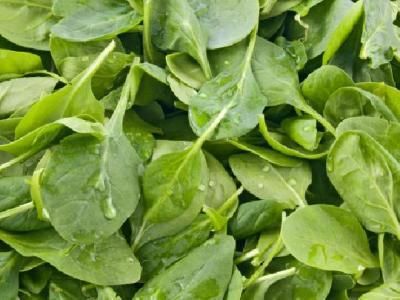 春季养生吃什么食物好 春季养生蔬菜推荐韭菜的几种美味吃法