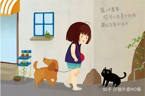 上海领养中心：猫咪领养指南