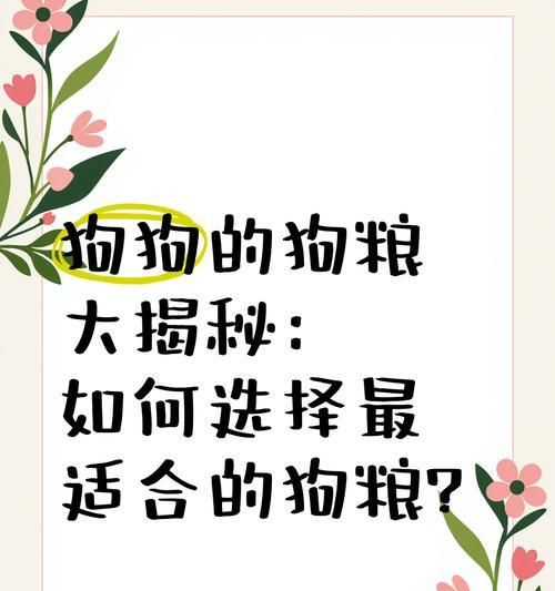 四个多月狗狗一顿应该吃多少狗粮？如何制定饮食计划？
