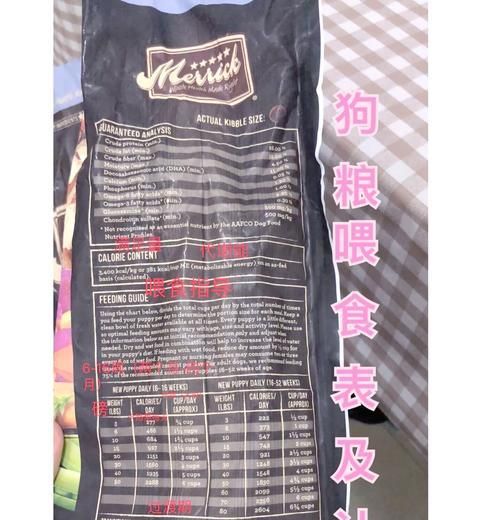 四个多月狗狗一顿应该吃多少狗粮？如何制定饮食计划？