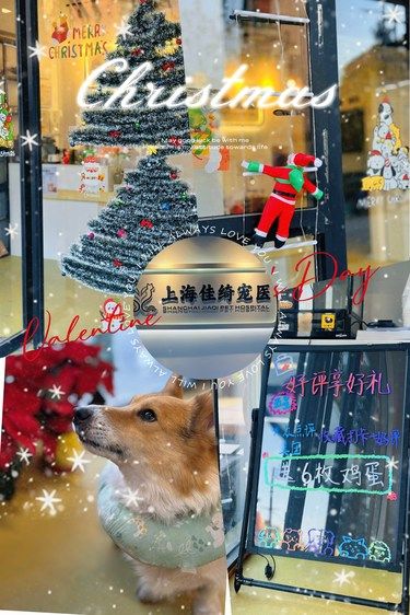 一代人有一代人的鸡蛋要领[偷笑][偷笑]