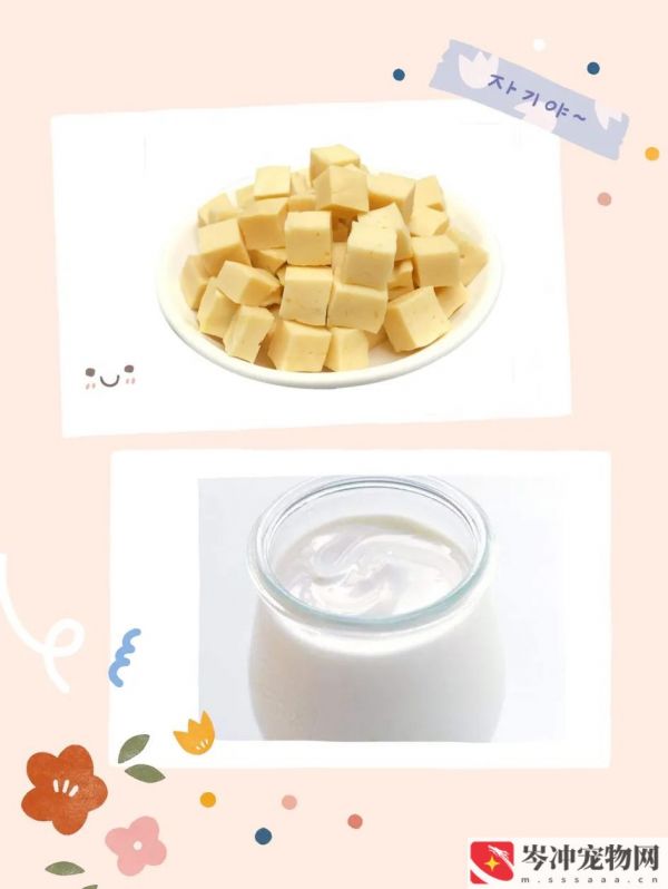 仓鼠不爱吃饭怎么办？仓鼠吃什么食物最好养？