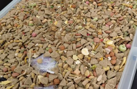 庄臣混合粮——打造仓鼠健康“营养金字塔”