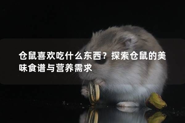 仓鼠喜欢吃什么东西？探索仓鼠的美味食谱与营养需求