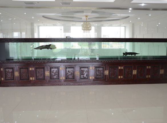 昆明亚克力鱼缸哪家定制好,鱼缸