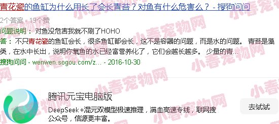 青花瓷养鱼论坛