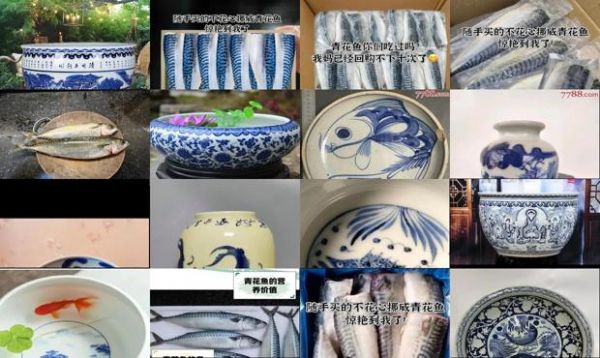 青花瓷养鱼论坛