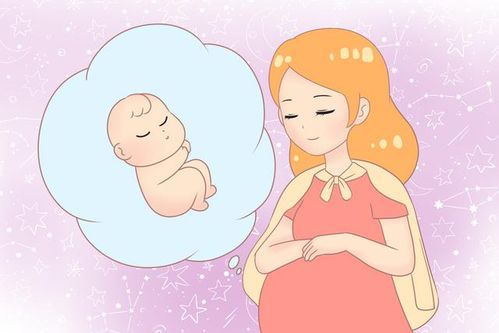 宠物孕期营养攻略，呵护孕犬健康