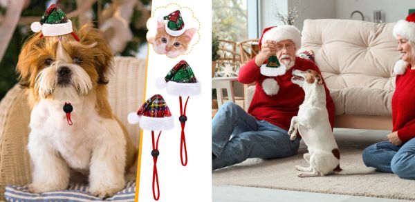 屏幕截图 2025-12-11 110001