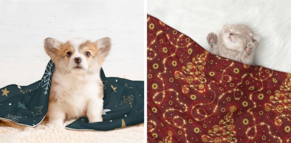 屏幕截图 2025-12-11 113106