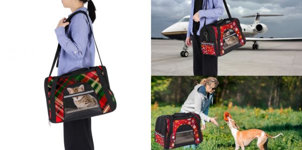 屏幕截图 2025-12-11 115316