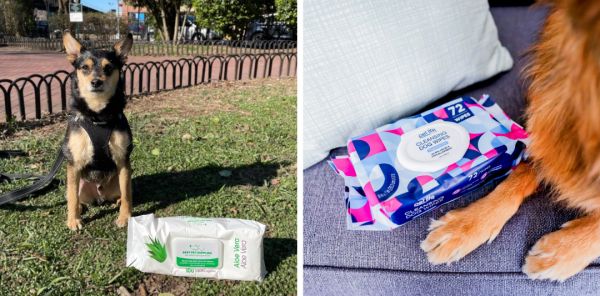 屏幕截图 2025-12-11 145633