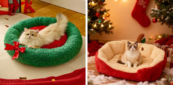 屏幕截图 2025-12-11 153618