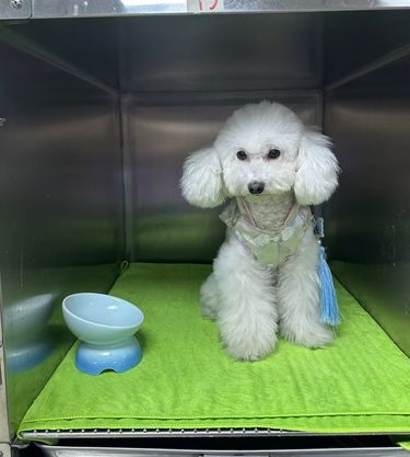  宝藏发现！科技感满满的宠物医院新店开