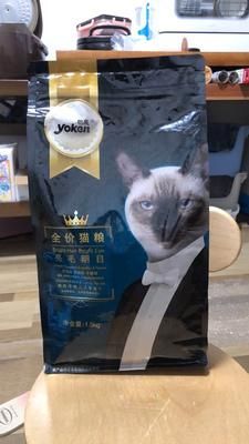 如何挑选猫粮盒？宠物选购小技巧。