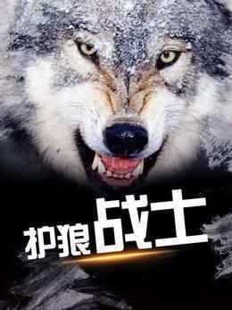 护狼战士