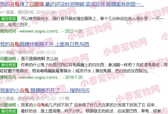 乌龟的白眼病图片