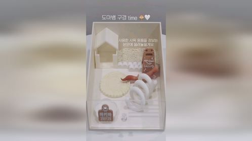 #守宫 周边产品，韩国真的是很强。#爬宠 #异宠 #爬宠日常