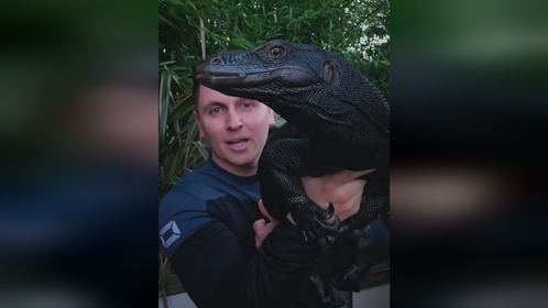 #爬宠 #异宠 #爬宠日常 #巨蜥 #黑龙泽巨蜥