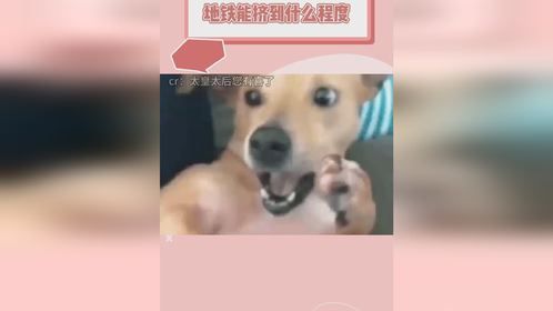 就是说 上班时间的地铁能挤到什么程度