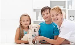 一旦宠物猫狗出现呼吸困难或呼吸急促的时候一定要重视起来