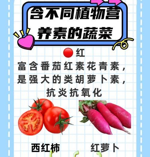 狗拌粮蔬菜粉怎么搭配？有哪些美味的食谱推荐？