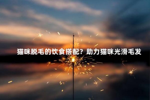 猫咪脱毛的饮食搭配?助力猫咪光滑毛发:探秘脱毛饮食规划