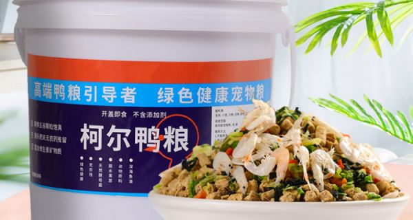 柯尔鸭粮推荐：宠谷山下，让鸭鸭吃得健康又安心