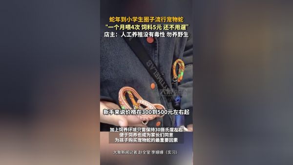 Thumbplayer Poster Plugin Image