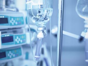 定点防治：郑州hpv定点医院排名已出：HPV感染者能养宠物吗？