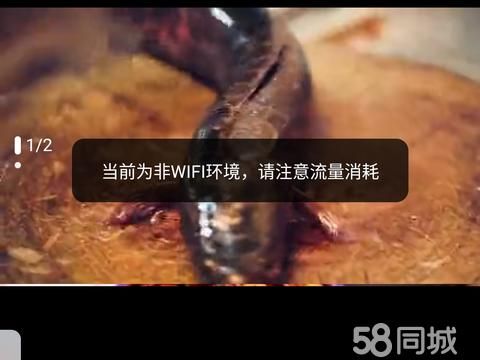 徐州周边游·陪同游玩