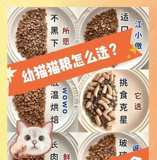 不怎么发胖的猫粮？如何选择低热量猫粮？