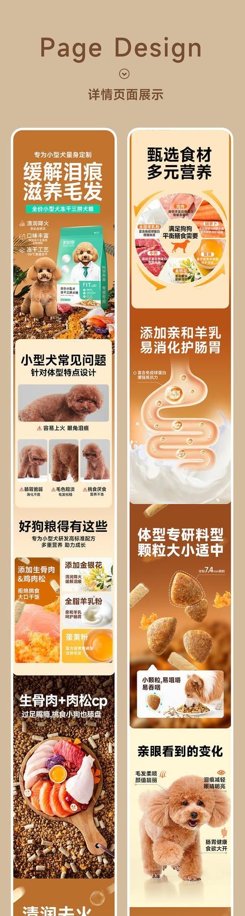 为何要选择猫粮作为宠物食品？