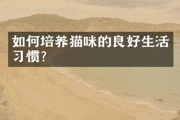 如何培养猫咪的良好生活习惯？