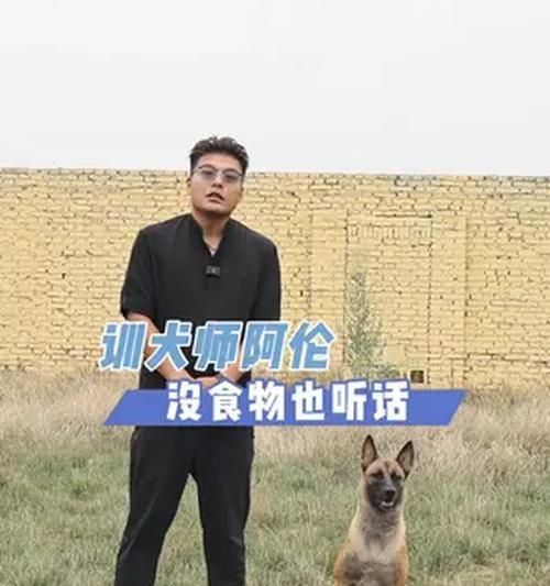 如何培养一只听话的宠物狗（建立信任关系，引导行为习惯，提高训练效率）