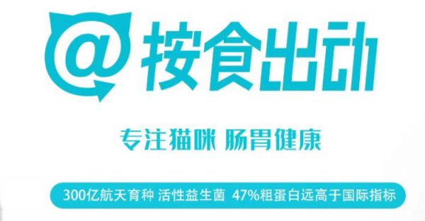 按食出动——主攻猫咪肠胃健康领域的互联网品牌
