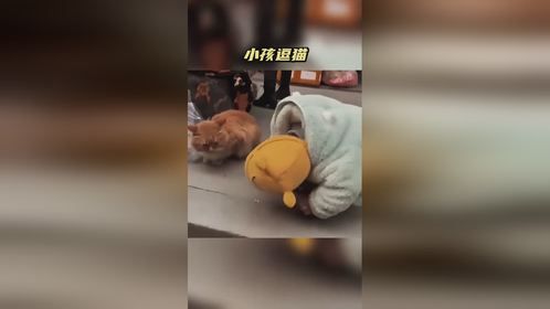 搞笑配音：小孩逗猫