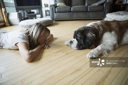 宠物狗丰盛晚餐怎么做的