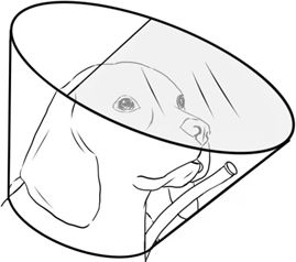 氧气脖圈示意图