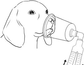 宽松面罩吸氧示意图