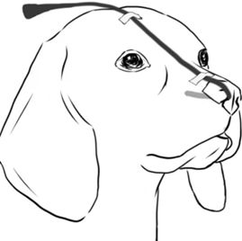 鼻导管吸氧示意图