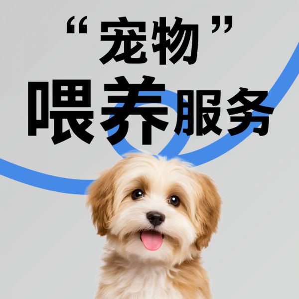 宠物所有服务，交给我您放心！