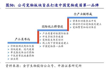 公司宠物板块旨在打造中国宠物疫苗第一品牌 - 2026年01月 - 行业研究数据