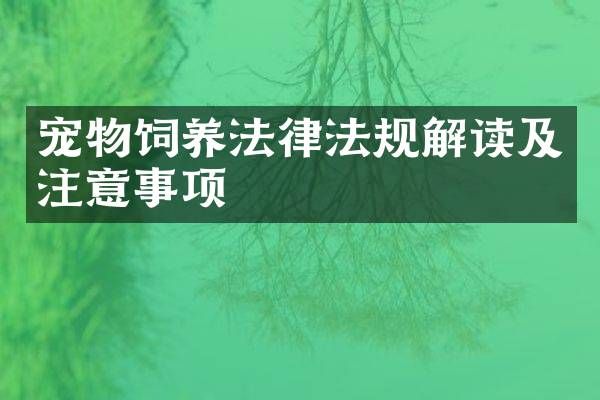 宠物饲养法律法规解读及注意事项
